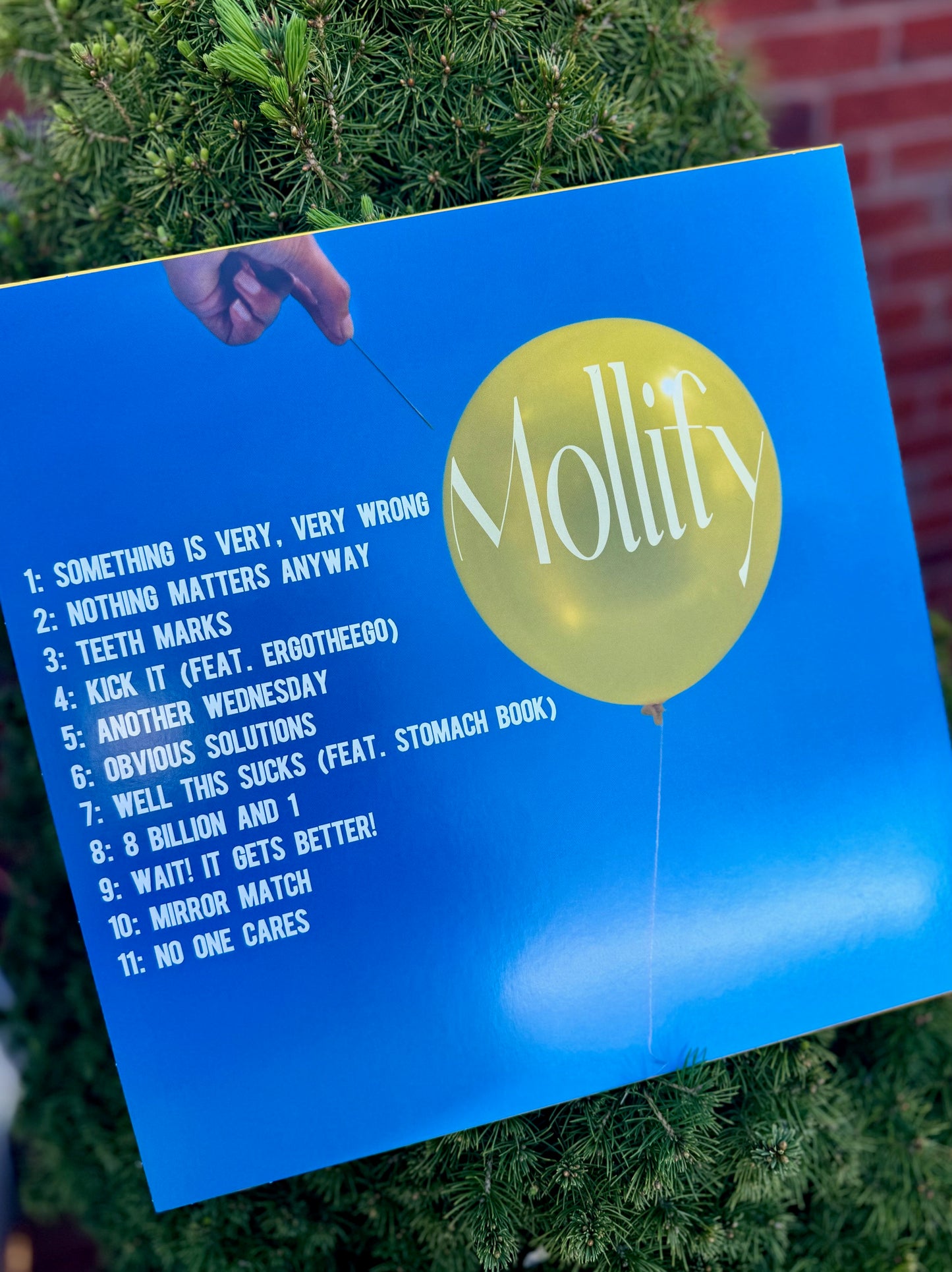 FBM Mollify Vinyl