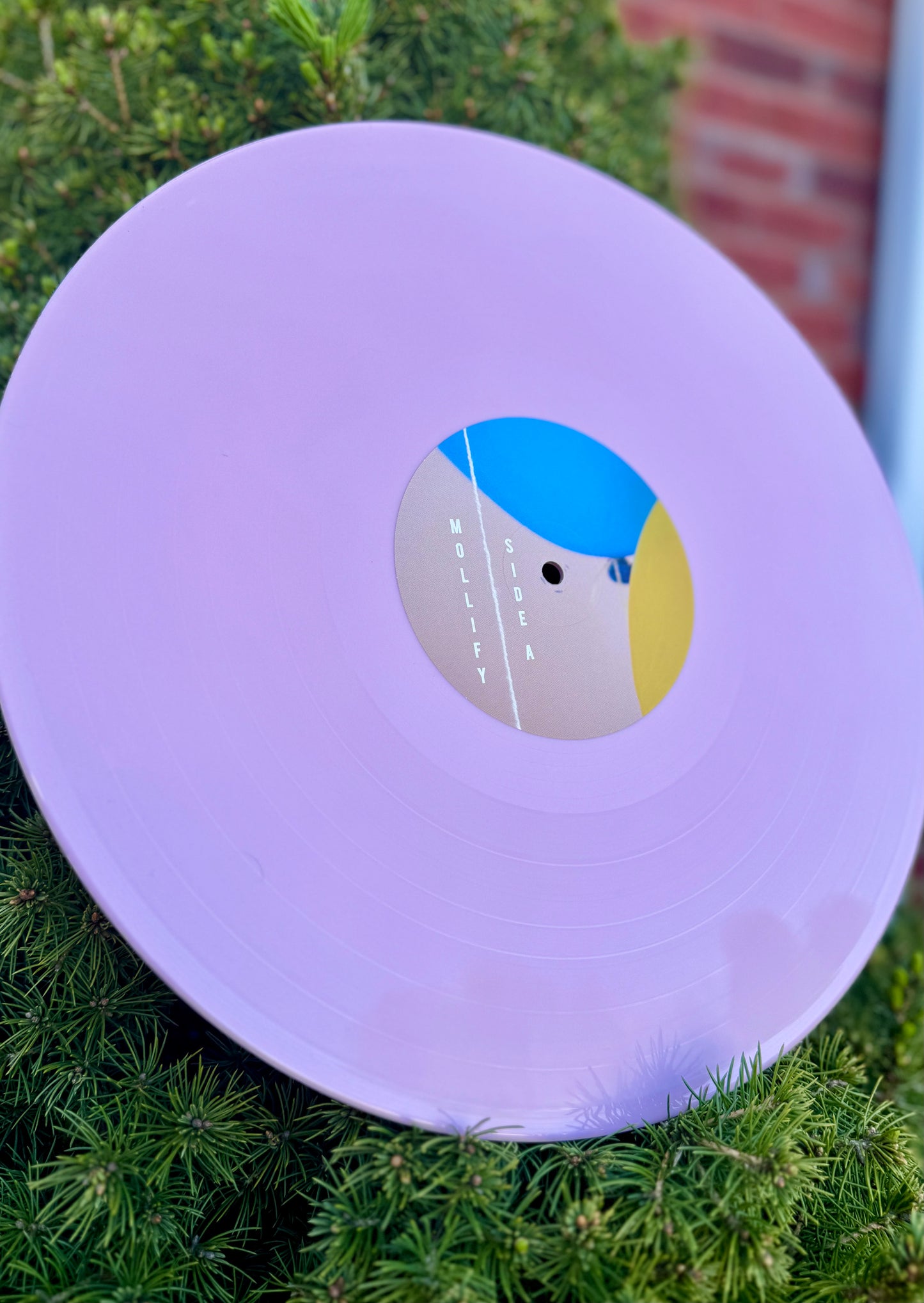 FBM Mollify Vinyl